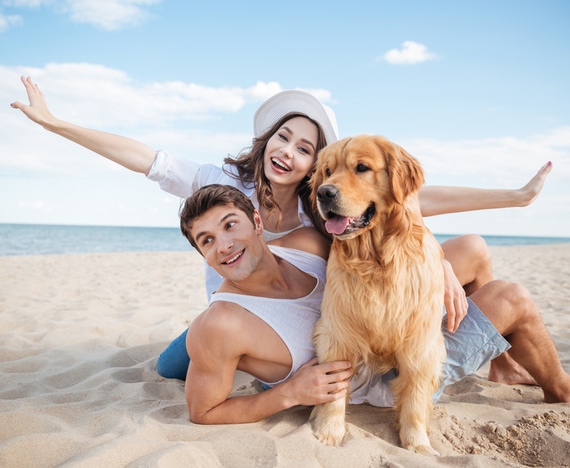 dienen niet voldoende Om toestemming te geven De mooiste vakantiehuizen voor een vakantie met hond | Belvilla