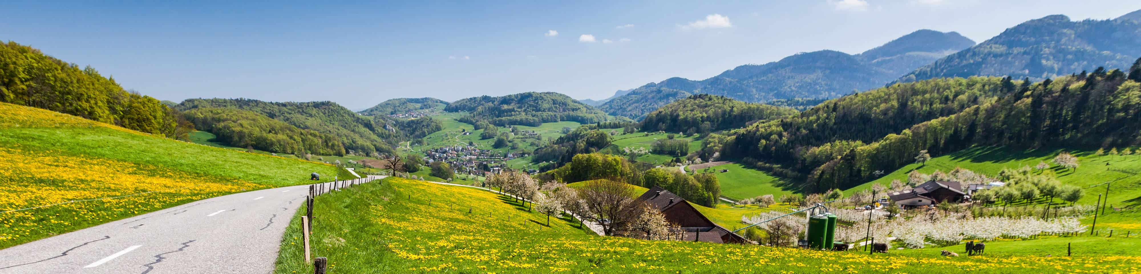Waar wil je naartoe?

